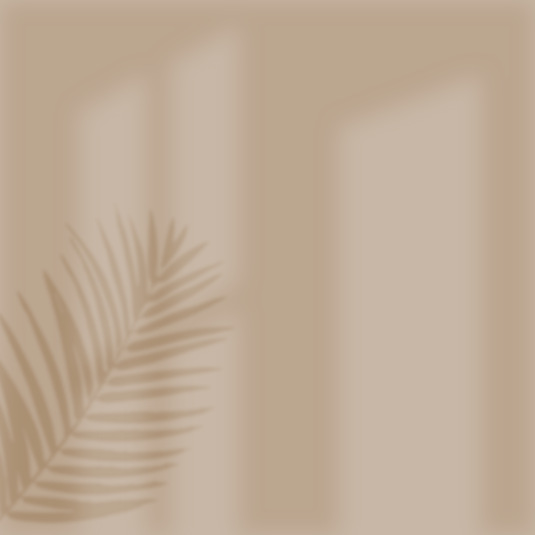 Indoor Plant Shadow Illustration